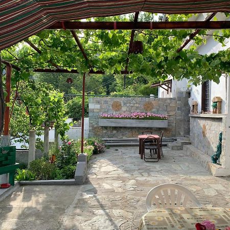 Η Θεα Traditional House Makrinítsa Eksteriør bilde