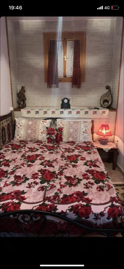 Η Θεα Traditional House Makrinítsa Eksteriør bilde